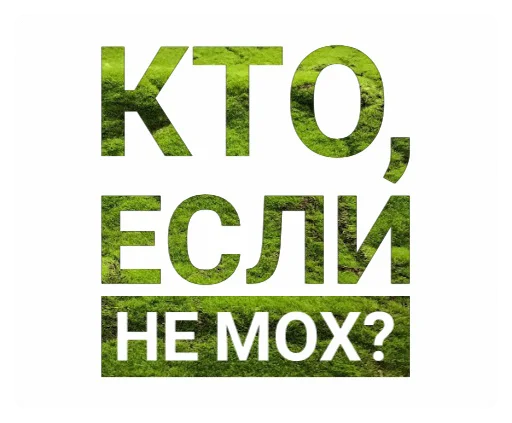 ❔ Стикер «Мох» для Telegram