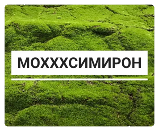 🎙 Стикер «Мох» для Telegram
