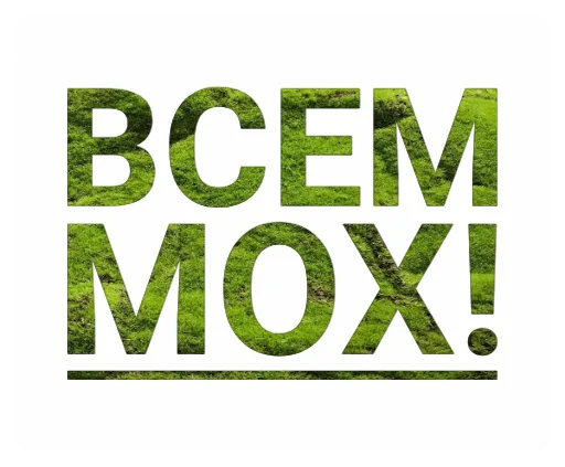 👋 Стикер «Мох» для Telegram
