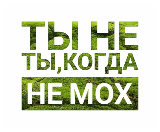 ❕ Стикер «Мох» для Telegram