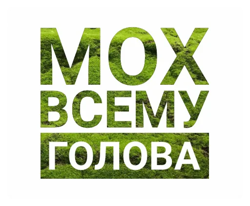 🤓 Стикер «Мох» для Telegram