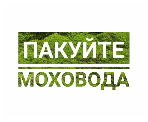 🚑 Стикер «Мох» для Telegram