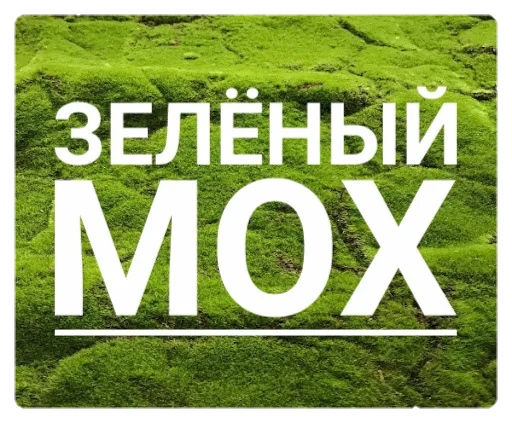 ✅ Стикер «Мох» для Telegram