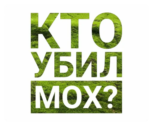 😵 Стикер «Мох» для Telegram