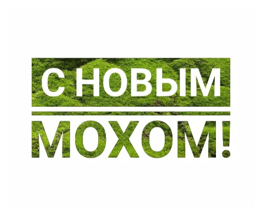 🎄 Стикер «Мох» для Telegram