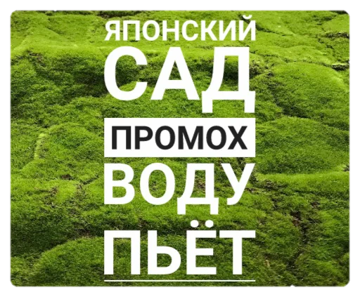 🌳 Стикер «Мох» для Telegram