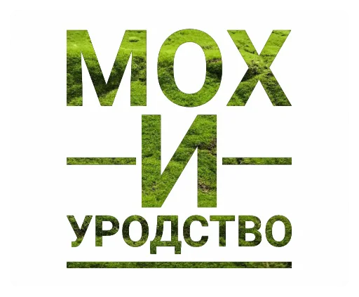 😎 Стикер «Мох» для Telegram