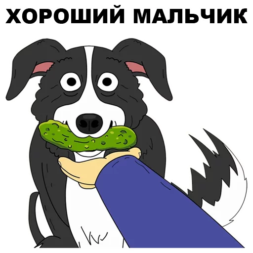 😉 Стикер «Мистер Пиклз» для Telegram