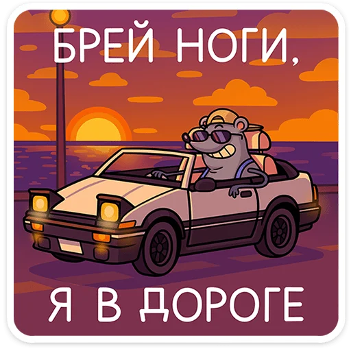 🐀 Стикер «Мистер Крыс» для Telegram