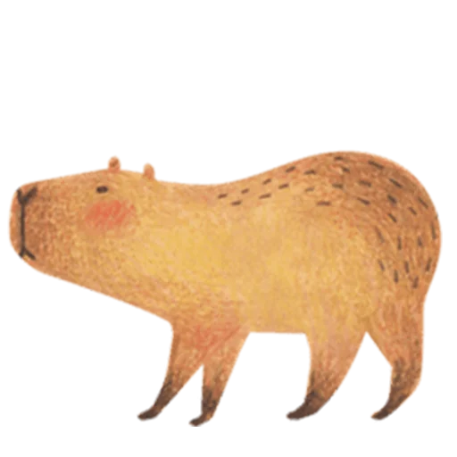 😙 Стикер «Mr. Capybara» для Telegram