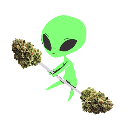 💪 Стикер «Mr.Green» для Telegram