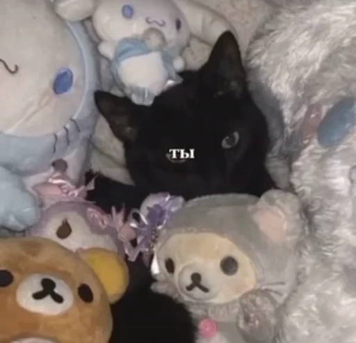 ❤️ Стикер «mrktcats 2» для Telegram