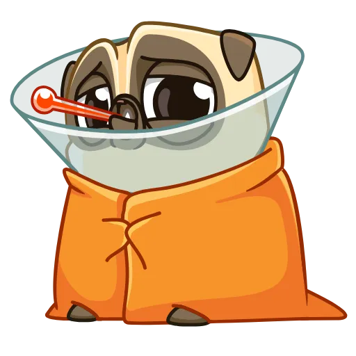 🤒 Стикер «Mr. Pug» для Telegram