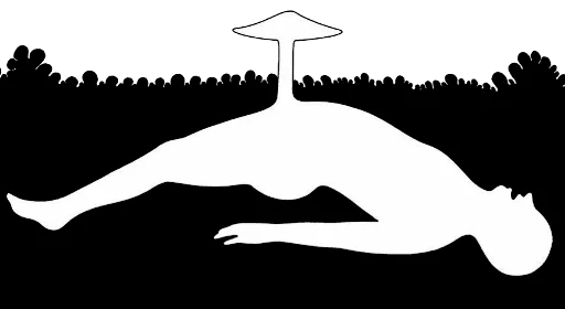 🍄 Стикер «Mrzyk&Moriceau» для Telegram