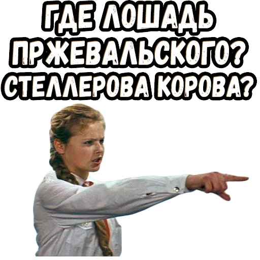 😡 Стикер «Москва - Кассиопея» для Telegram