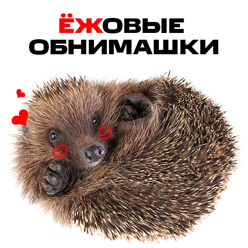 🤗 Стикер «надЁЖные стикеры» для Telegram