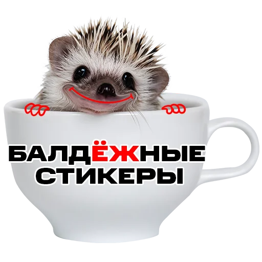 💯 Стикер «надЁЖные стикеры» для Telegram