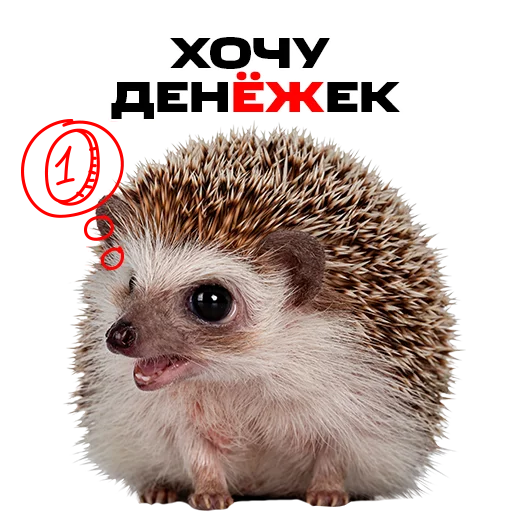🤑 Стикер «надЁЖные стикеры» для Telegram