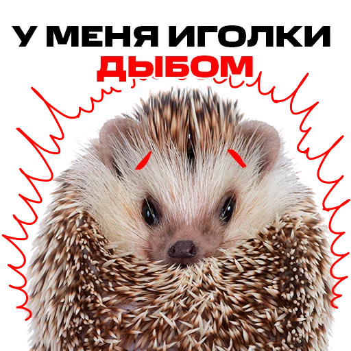 😳 Стикер «надЁЖные стикеры» для Telegram