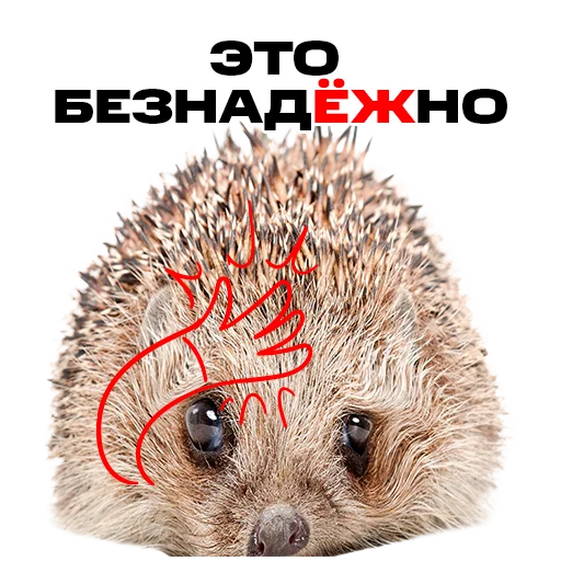 🤦‍♀️ Стикер «надЁЖные стикеры» для Telegram