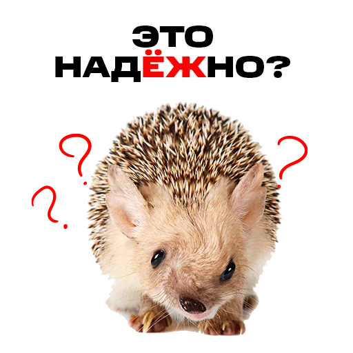 😮 Стикер «надЁЖные стикеры» для Telegram