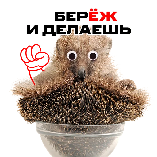 ✊ Стикер «надЁЖные стикеры» для Telegram