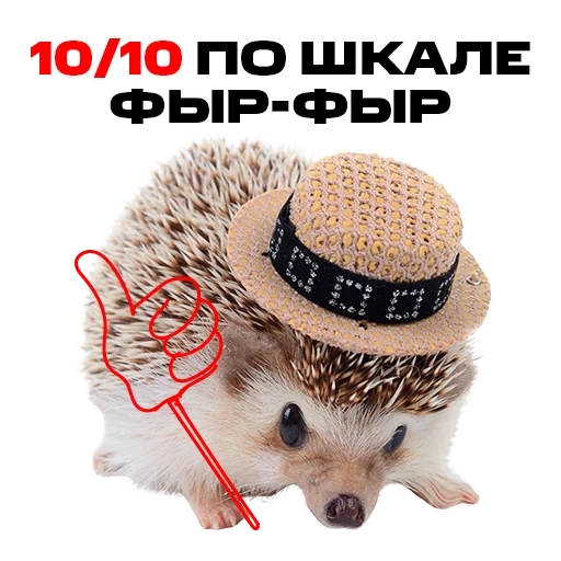 👍 Стикер «надЁЖные стикеры» для Telegram