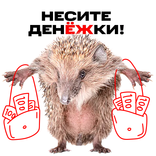 💸 Стикер «надЁЖные стикеры» для Telegram