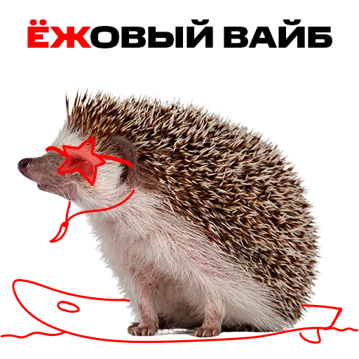 😍 Стикер «надЁЖные стикеры» для Telegram