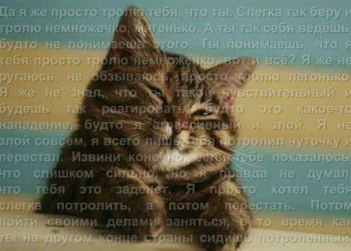 🌚 Стикер «Mudblood» для Telegram