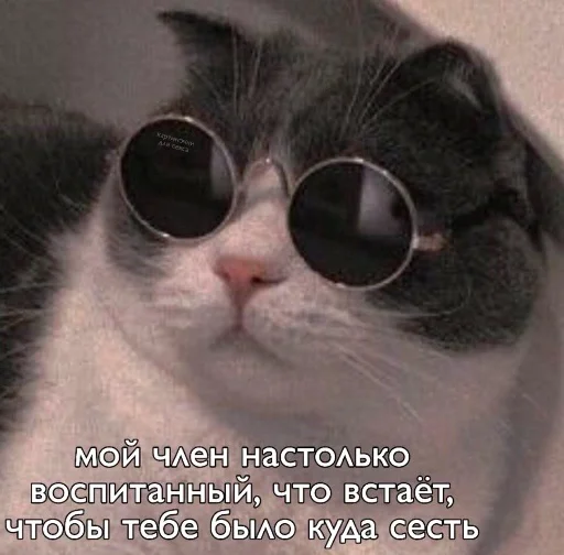 😉 Стикер «Mudblood» для Telegram