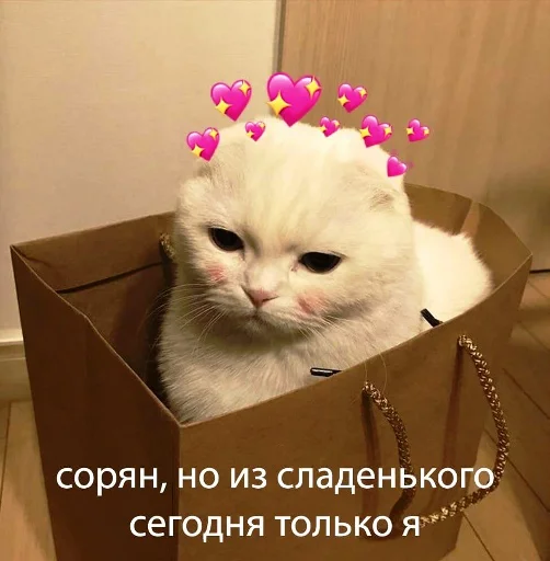 Стикерпак Mudblood для Telegram