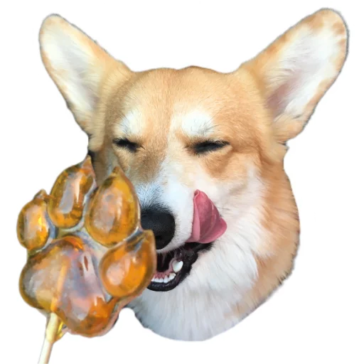 😋 Стикер «Маффин корги» для Telegram