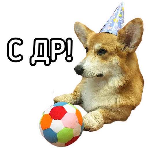 🥮 Стикер «Маффин корги» для Telegram