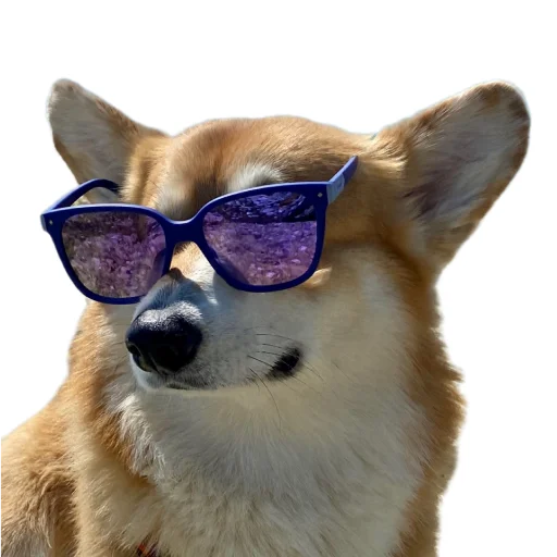 😎 Стикер «Маффин корги» для Telegram