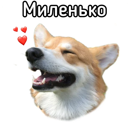 🥰 Стикер «Маффин корги» для Telegram