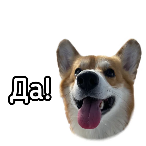 👍 Стикер «Маффин корги» для Telegram