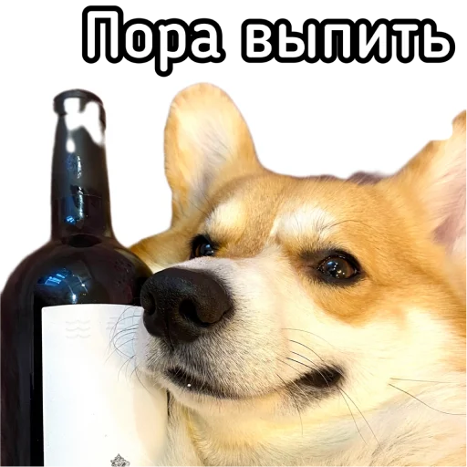 🍷 Стикер «Маффин корги» для Telegram