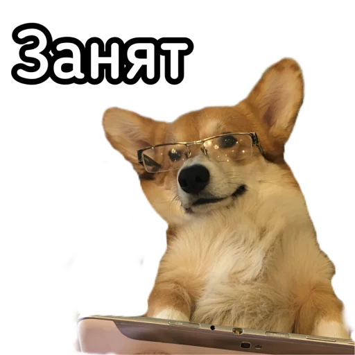 👨‍💻 Стикер «Маффин корги» для Telegram