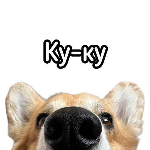 🙌 Стикер «Маффин корги» для Telegram