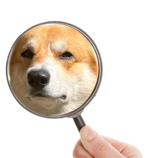 😒 Стикер «Маффин корги» для Telegram