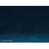 Стикер 14 Мультфильм