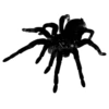 Стикер 8 ️ murgine maitse art