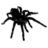 Стикер 7 ️ murgine maitse art