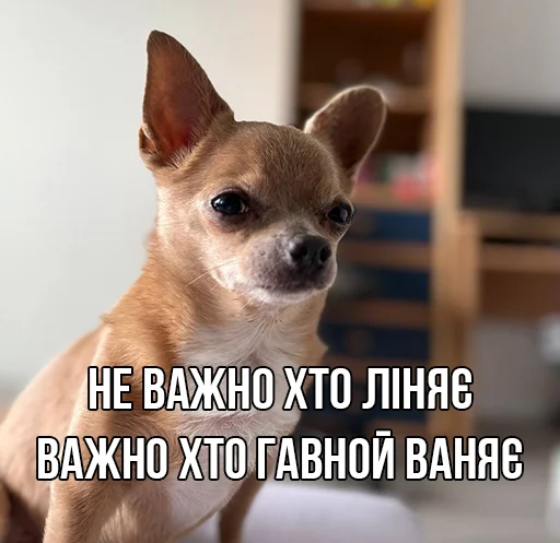 🐺 Стикер «МурМарсік» для Telegram