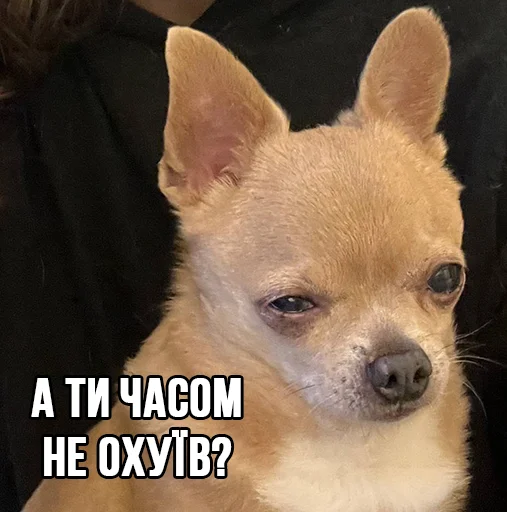 😒 Стикер «МурМарсік» для Telegram