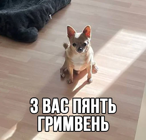 💶 Стикер «МурМарсік» для Telegram