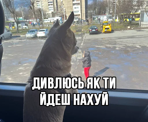 🏃‍♂️ Стикер «МурМарсік» для Telegram