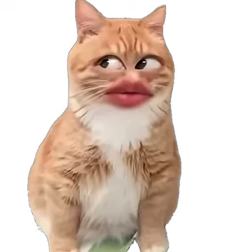 😹 Стикер «мур мур» для Telegram