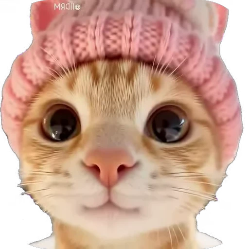 😻 Стикер «мур мур» для Telegram